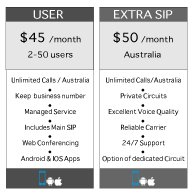 VOIP PRICING